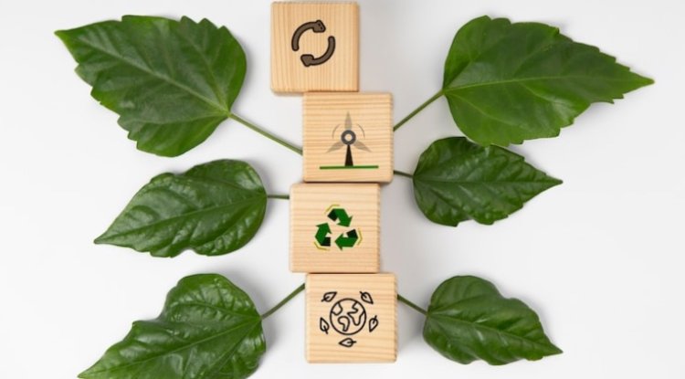 Eco Warriors of the Market: The Rise of Sustainable Brands