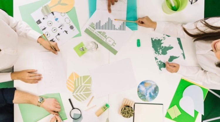 From Pollution to Solution: The Rise of Eco-Friendly Enterprises