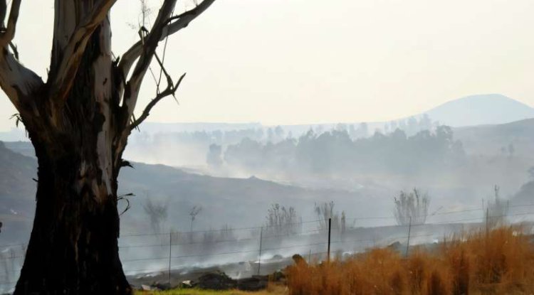 Berg Winds Raise Wildfire Risk in South African Winters