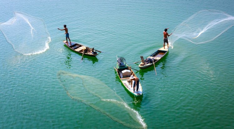 Social Sciences Urged to Reshape Global Blue Economy
