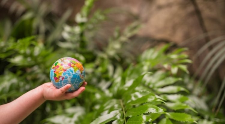 UK France Fund Global Push For Biodiversity Credits