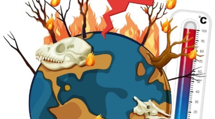 UK Climate Report 2024 Warns Of Rapid Change