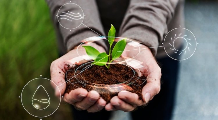 Sowing Sustainability: Evaluating India’s National Mission for Sustainable Agriculture (NMSA)