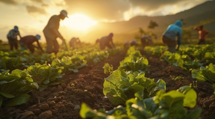 Green Fields, Global Goals: India Leads G20 on Sustainable Agriculture
