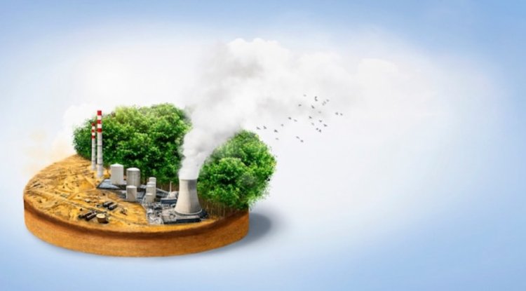 Lloyds Launches Carbon And Nature Markets Unit