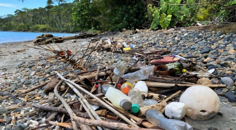 Plastic Bottle Pollution Hits Central America Hardest, Regional Study Finds