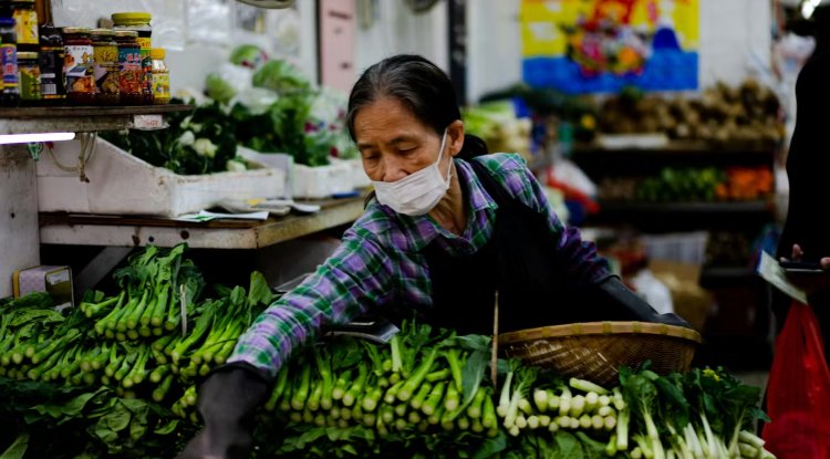 UN Report Reveals Uneven Progress in Global Hunger and Food Insecurity