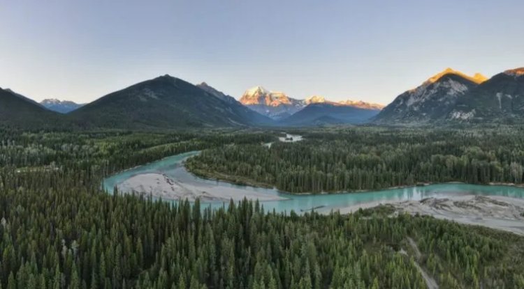 Canada Allocates $4.79M to Protect BC’s Endangered Aquatic Species
