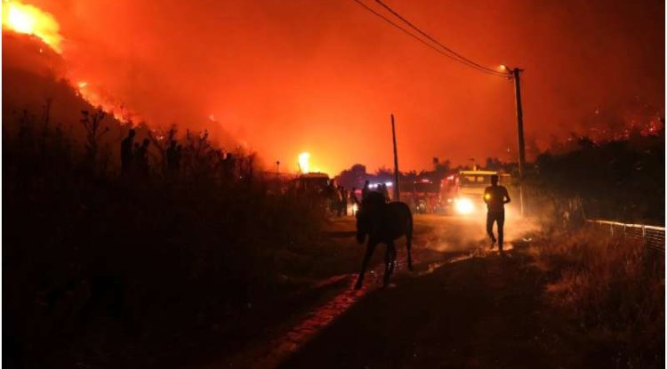 Turkey and Bulgaria Struggle to Contain Wildfires Amid Heatwave