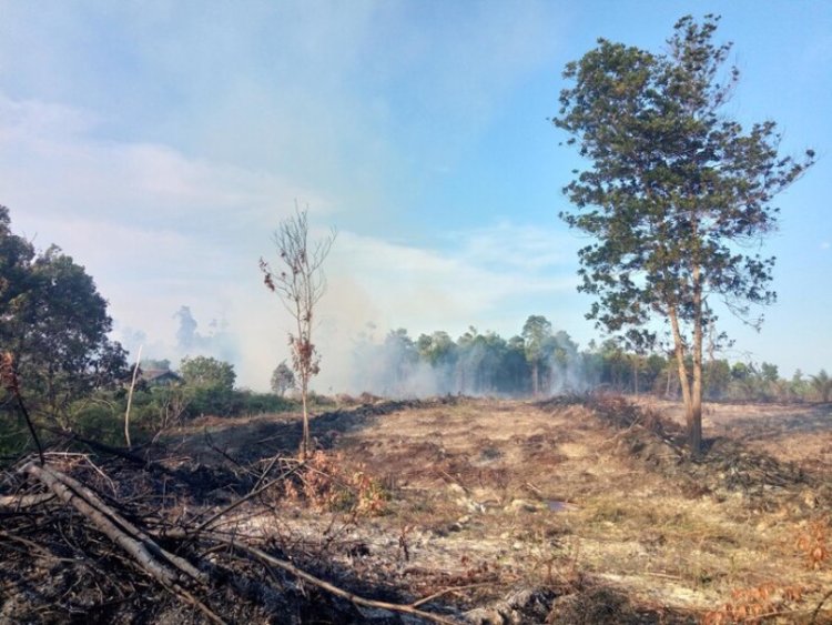 Wildfires Cause Long-Term Water Pollution Threat