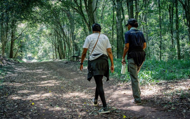 UNEP and GCF Fund Climate Adaptation Projects in Ghana, Maldives, and Mauritania