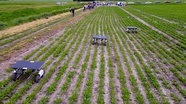 AI Transforms Agriculture in India and Beyond