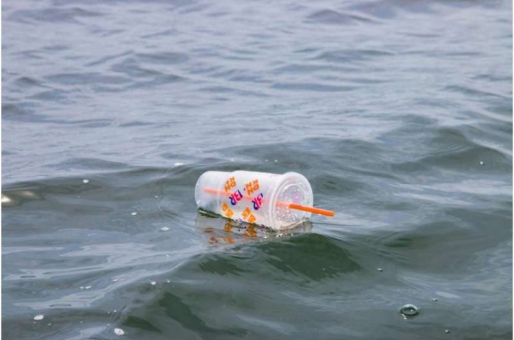UN Plastics Treaty Must Address Toxic Chemicals and Production Cap, Say Health Experts
