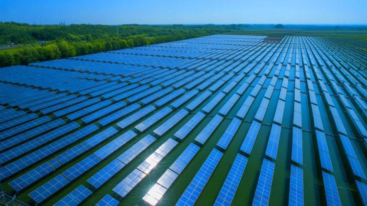 China’s Solar-Powered Fishing Farm Transforms Industry