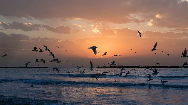 Mediterranean Heatwave Hits Record 8°C Above Normal
