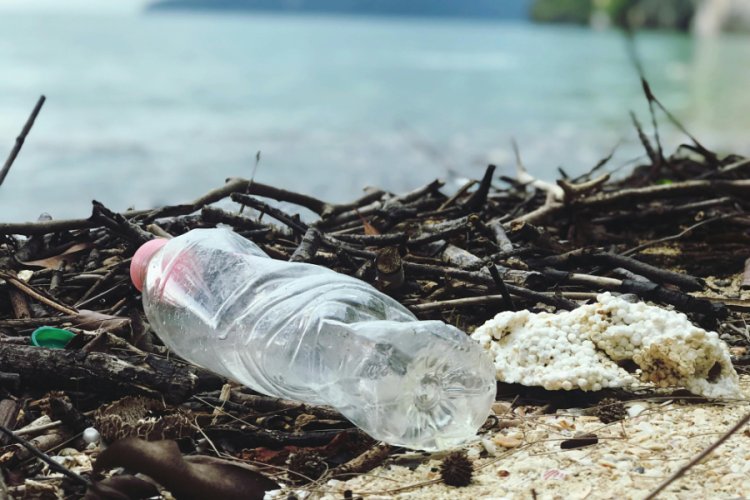 Recycled Ocean Plastics Market to Reach $3.5 Billion by 2034