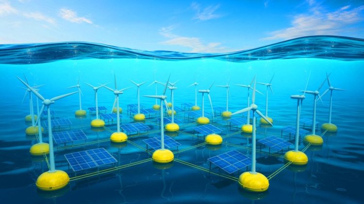 Scotland's Sunken Treasure: Divers Expose Hidden Riches as Governments Clash Over Ownership