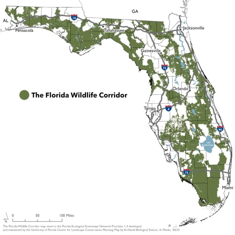 Florida Wildlife Corridor Marks 15 Years as Conservation Expands