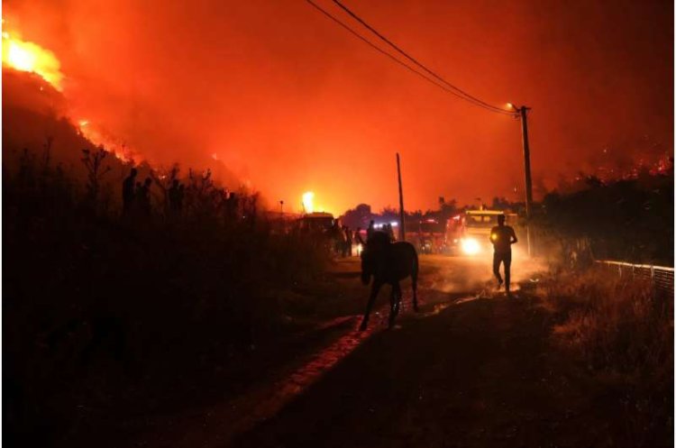 Turkey and Bulgaria Struggle to Contain Wildfires Amid Heatwave