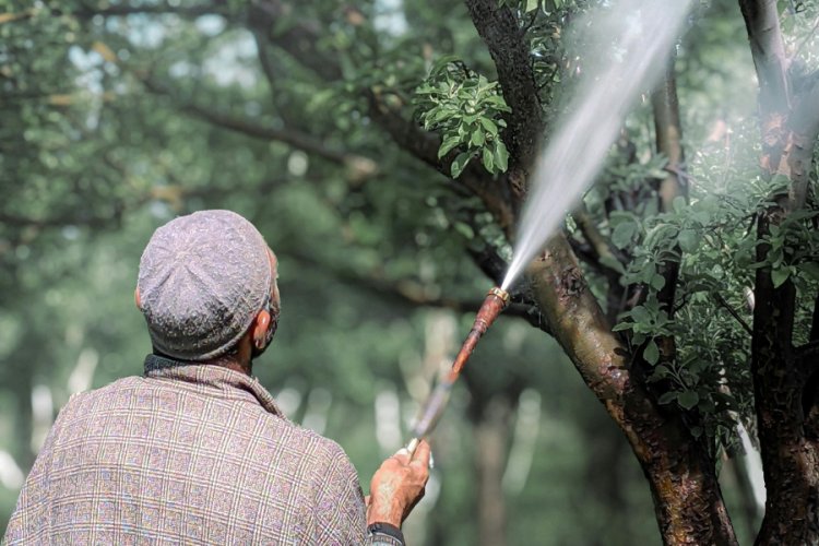 Environmental Risks of Agricultural Pesticides Underestimated, New Study Finds