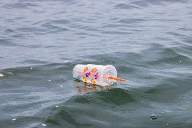 Plastic Pollution Poses Major Health Threat, Costs $1.5 Trillion Annually