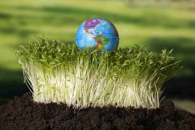 Kew Gardens' Carbon Garden Offers a Living Lesson in Climate Change and Resilience