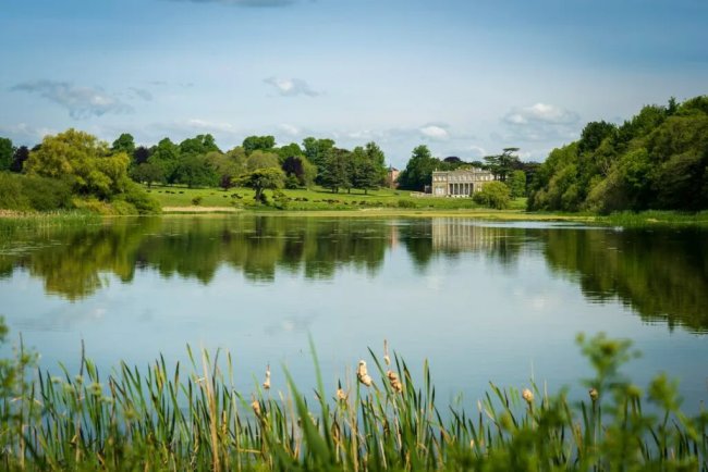Scottish Wildlife Trust Acquires Highland Estate to Restore Nature and Fight Climate Change