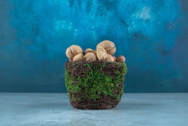 Mars Unveils $5M Plan To Safeguard Global Peanut Crop