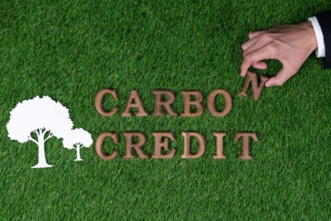 Frontier And Wild Assets Sign Carbon Credit Deal