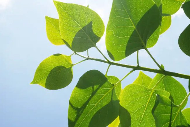 Financial Institutions Push Over 1,300 Firms to Disclose Environmental Risks in 2025