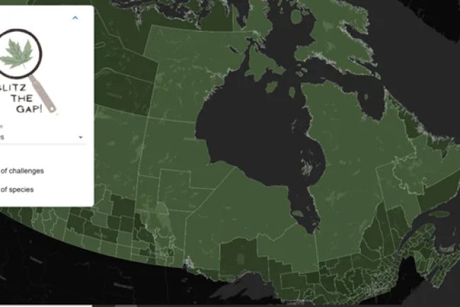 Citizen Science Project Mobilises Canadians to Protect Biodiversity