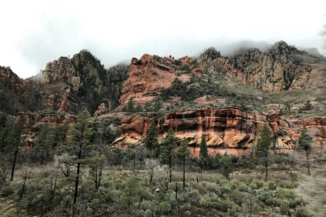 AI Camera Network Boosts Arizona’s Wildfire Detection and Response