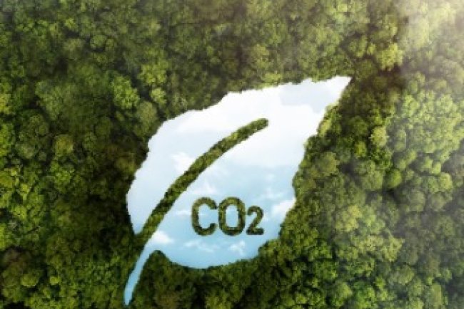 ICVCM Approval Boosts Verra Carbon Methodologies