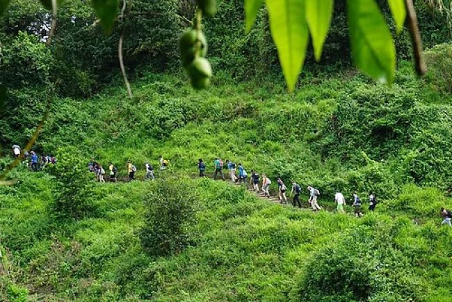 Andaman Eco-Tourism: Hospitality Majors Explore Sustainable Resort Development
