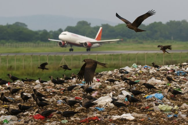 Pune Airport Safety Risk from Open Garbage Dumping