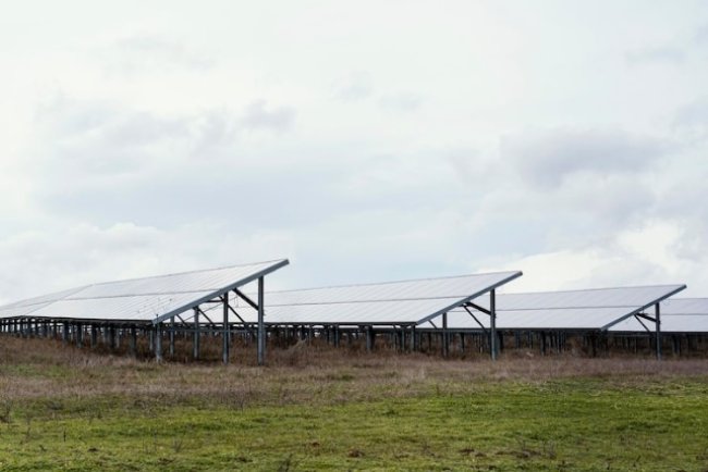 Central Electric Launches 100 Mw Solar In Carolina