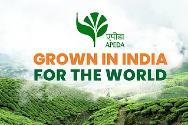 APEDA Opens New Offices in Patna, Raipur, Dehradun to Empower Agri Exporters