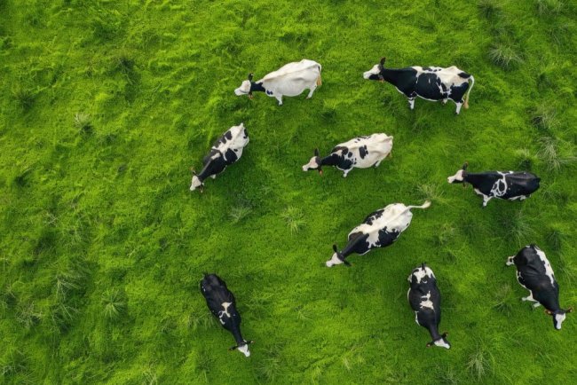 A New Era of Transparency: Campbell Brothers Launches Responsible Sourcing Guide