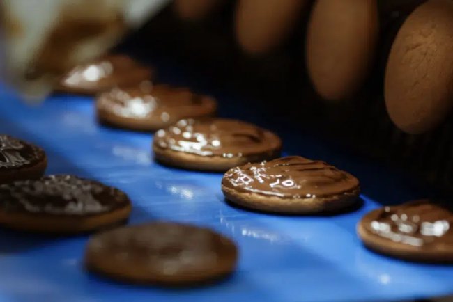 New Pladis Report Details Environmental Gains and Social Initiatives