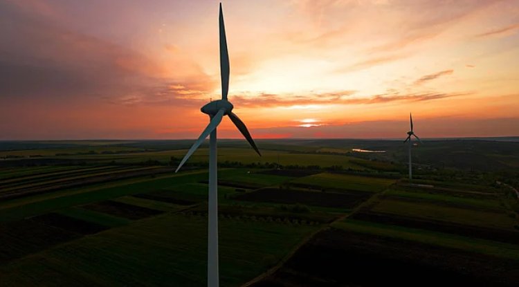 India's Green Energy Projects Face Delays Amid Grid Bottlenecks and Unsigned Power Deals