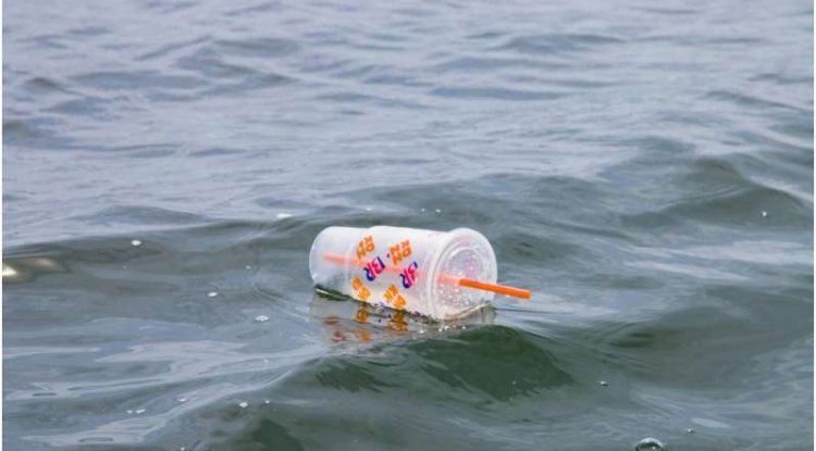 Plastic Pollution Poses Major Health Threat, Costs $1.5 Trillion Annually