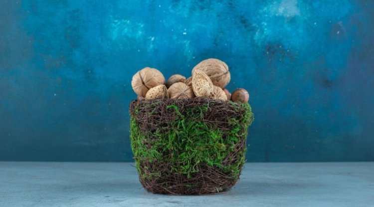Mars Unveils $5M Plan To Safeguard Global Peanut Crop