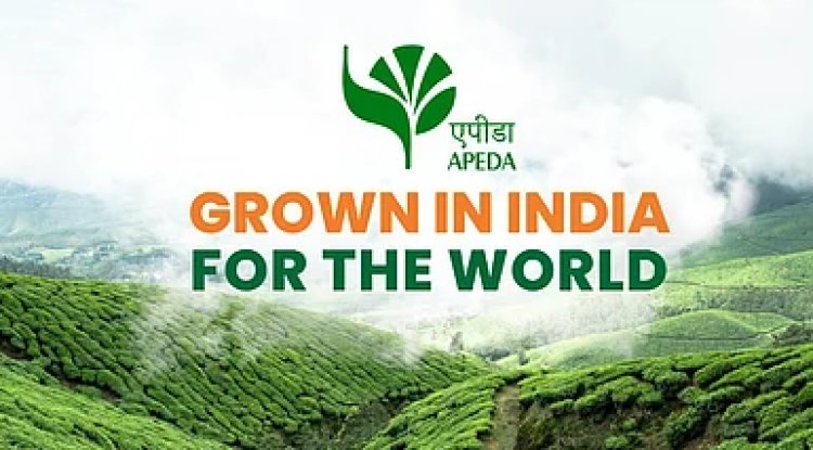APEDA Opens New Offices in Patna, Raipur, Dehradun to Empower Agri Exporters