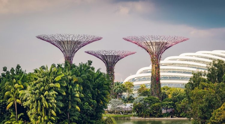 Singapore Launches IT Energy Efficiency Standard For Data Centres