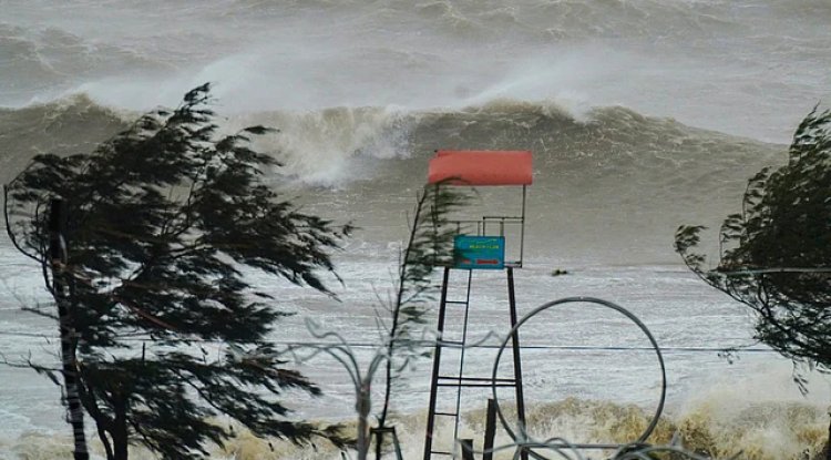 Typhoon Kajiki Hits Vietnam: Fatalities, Floods, Airport Closures and Evacuations