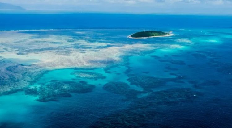 Saudi Arabia Expands Coral Reef Protection Using Advanced Technology