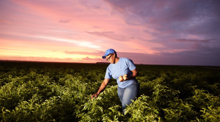 PepsiCo Reports Steady Progress Towards 2024 Sustainability Goals