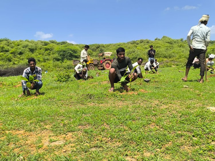 Standard Chartered and Haritika Partner with Indian Army to Plant One Million Trees