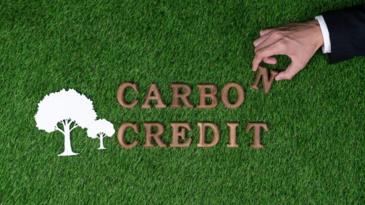 Frontier And Wild Assets Sign Carbon Credit Deal