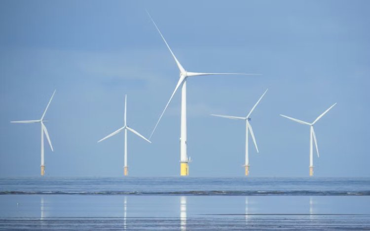 Renewables to Become World’s Leading Power Source by 2026, IEA Forecasts